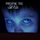 Fear_Of_A_Blank_Planet-Porcupine_Tree