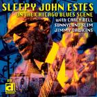 On_The_Chicago_Blues_Scene_-'Sleepy'_John_Estes