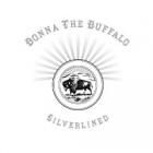 Silverlined_-Donna_The_Buffalo