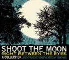 Shoot_The_Moon_Right_Between_The_Eyes-Jeffrey_Foucault