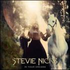 In_Your_Dreams-Stevie_Nicks