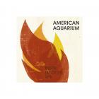 Burn_,_Flicker_,_Die_-American_Aquarium_
