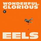 Wonderful_%2C_Glorious_-Eels