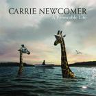 A_Permeable_Life_-Carrie_Newcomer