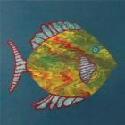 Fish-Michael_Chapman