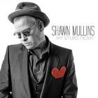 My_Stupid_Heart_-Shawn_Mullins