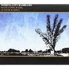 Mani Come Rami Ai Piedi Radici di Modena City Ramblers - CD Mani Come Rami Ai Piedi Radici di Modena City Ramblers - CD