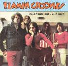 California_Born_And_Bred_-Flamin'_Groovies