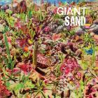 Returns_To_Valley_Of_Rain-Giant_Sand