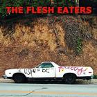 I_Used_To_Be_Pretty-Flesh_Eaters_