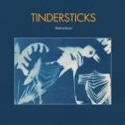 Distractions-Tindersticks