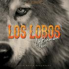 La_Bamba_Live_-Los_Lobos