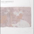 Past_Imperfect_-Tindersticks