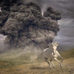 Year_Of_The_Dark_Horse_-White_Buffalo