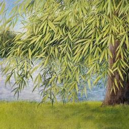 Nothing_But_Green_Willow_-Martin_Simpson_%26_Thomm_Jutz