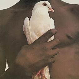 Greatest Hits  di Santana - LP