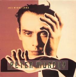 All_Night_Long-Peter_Murphy