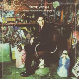 What I Did After My Band Broke Up (Best Of 1990-2004) / Visitation Rights di Steve Wynn - CD