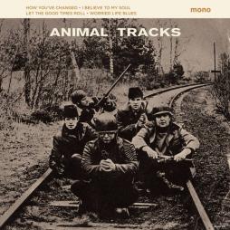 Animal_Tracks-Animals Animal_Tracks-Animals