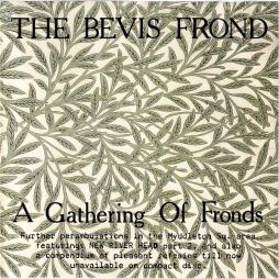 A Gathering Of Fronds di The Bevis Frond - CD
