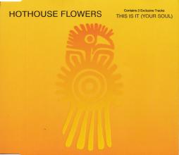 This Is It (Your Soul) di Hothouse Flowers - CD Single This Is It (Your Soul) di Hothouse Flowers - CD Single