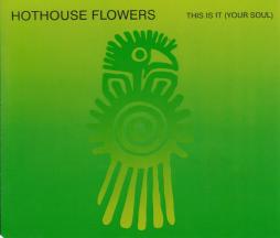 This Is It (Your Soul) di Hothouse Flowers - CD
