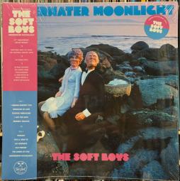 Underwater Moonlight di Soft Boys - LP