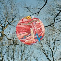 Glean di They Might Be Giants - CD