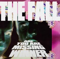 Are You Are Missing Winner di The Fall - LP