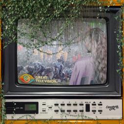 Great Television di Elizabeth Cook
