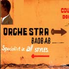Specialist_In_All_Styles-Orchestra_Baobab