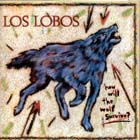 How_Will_The_Wolf_Survive?-Los_Lobos
