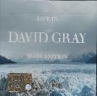 Slow Motion di David Gray - CD