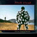 Delicate_Sound_Of_Thunder-Pink_Floyd