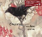 Garden_Ruin-Calexico