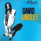 El_Rayo-X_-David_Lindley