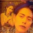 Tree Of Life  di Lila Downs - CD