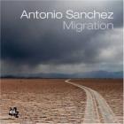 Migration_-Antonio_Sanchez