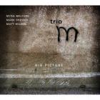 Big Picture di Myra Melford - CD