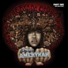 New_Amerykah-Erykah_Badu