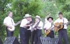 At Newport Festival  di Bluegrass Masters - CD