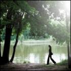 Comme Si De Rien N'etait  di Carla Bruni - CD