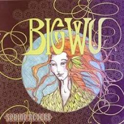 Spring Reverb di Big Wu - CD Spring Reverb di Big Wu - CD