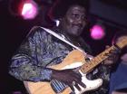 Charly Blues Legends Live Vol.7 di Albert Collins - CD