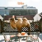 Wilco_The_Album_-Wilco