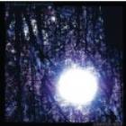 Luminous Night di Six Organs Of  Admittance - CD
