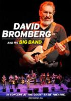 In_Concert_At_Count_Basie_Theater_-David_Bromberg_Band