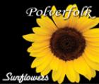 Sunflowers di Polverfolk - CD