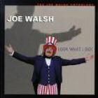 Look_What_I_Did_%21_-Joe_Walsh