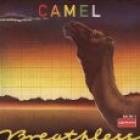 Breathless-Camel